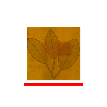 Mosaic House Moroccan tile Orcas 4x4 8 GL-B Ochre,    solid zellige, mosaic, zellij, loose, size, glaze 